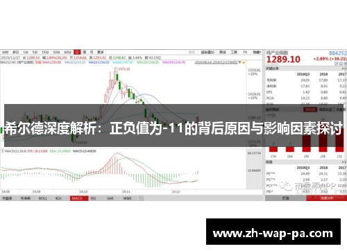 希尔德深度解析：正负值为-11的背后原因与影响因素探讨