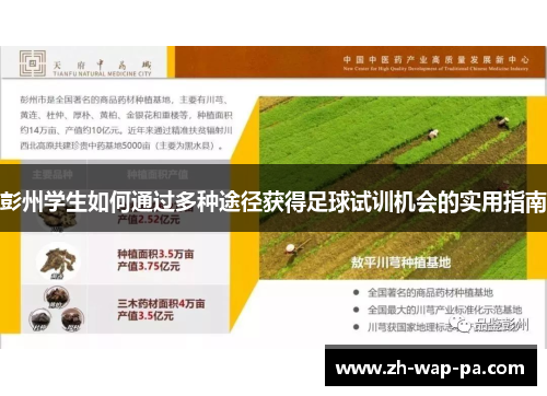 彭州学生如何通过多种途径获得足球试训机会的实用指南