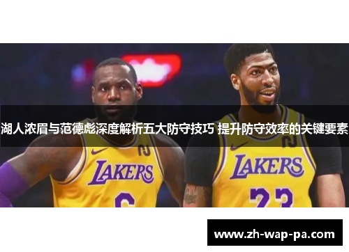 湖人浓眉与范德彪深度解析五大防守技巧 提升防守效率的关键要素