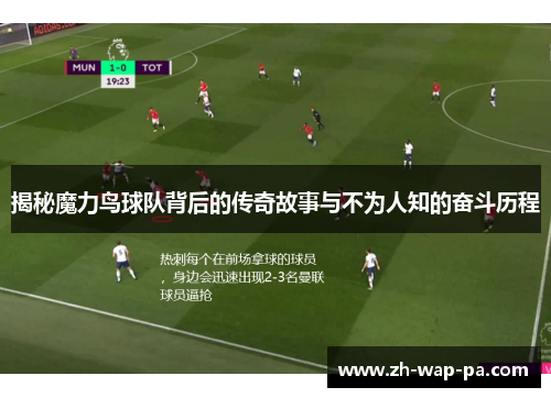 揭秘魔力鸟球队背后的传奇故事与不为人知的奋斗历程