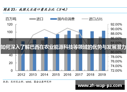 如何深入了解巴西在农业能源科技等领域的优势与发展潜力