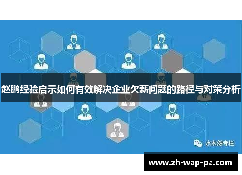 赵鹏经验启示如何有效解决企业欠薪问题的路径与对策分析