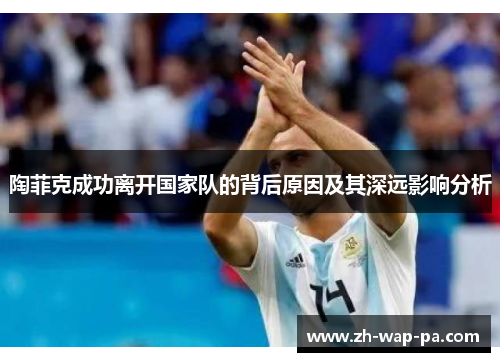 陶菲克成功离开国家队的背后原因及其深远影响分析