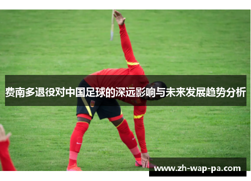 费南多退役对中国足球的深远影响与未来发展趋势分析