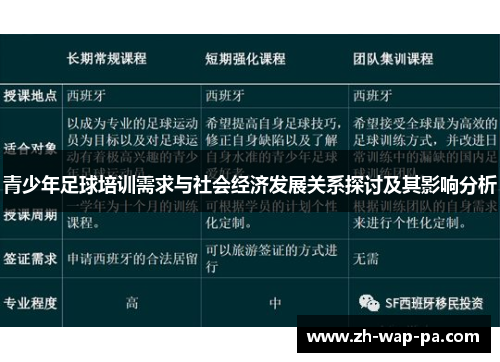青少年足球培训需求与社会经济发展关系探讨及其影响分析